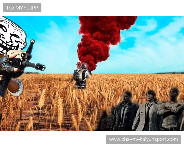 职业哥为什么都不开垂直同步
